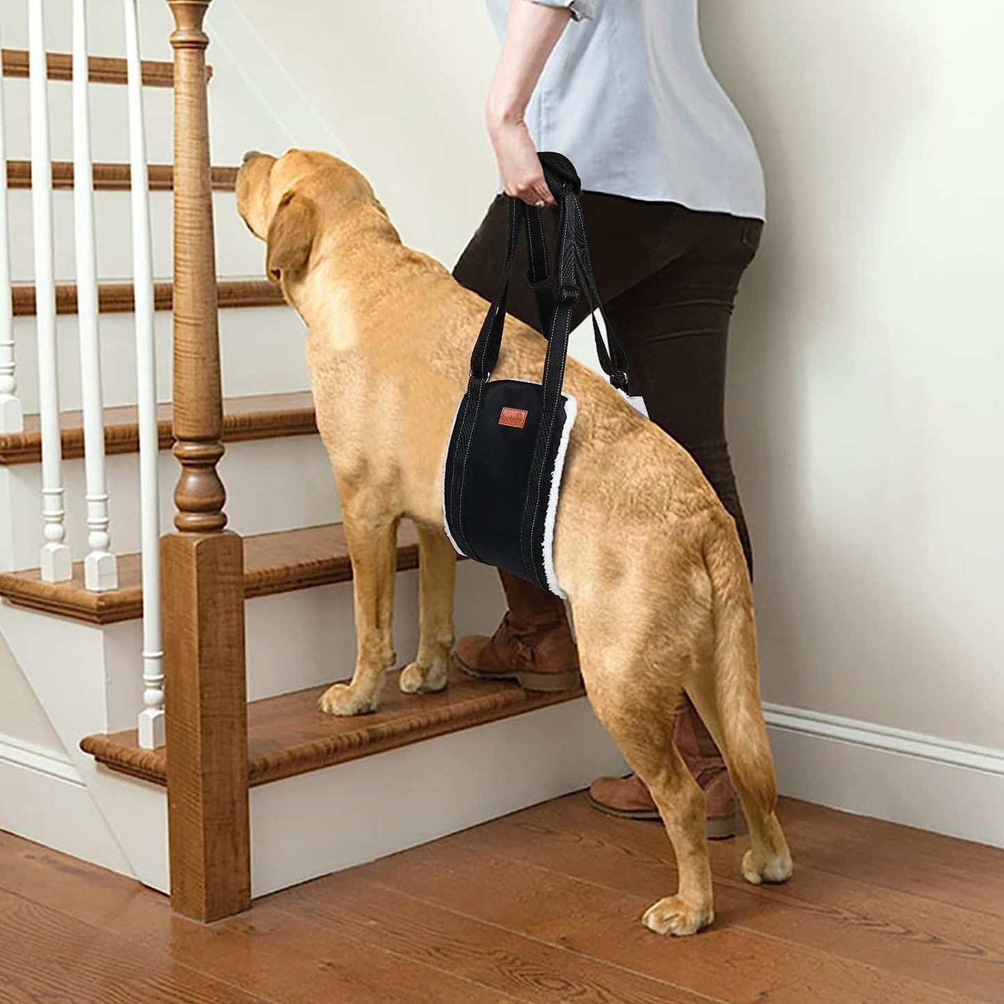 Portable Dog Sling for Back Legs, Hip Support Harness to Help Lift Rear for Canine Aid Old K9 Cruciate Ligament Rehabilitation